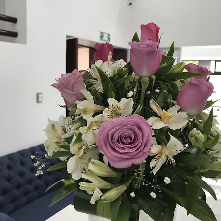 Hotel Plaza Amalia Tuxtla Gutiérrez Extérieur photo