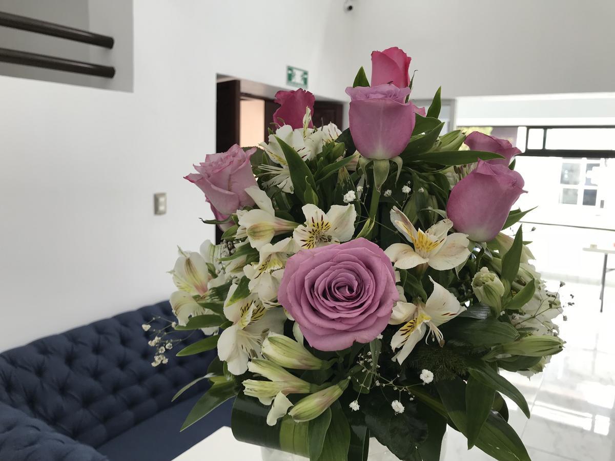 Hotel Plaza Amalia Tuxtla Gutiérrez Extérieur photo